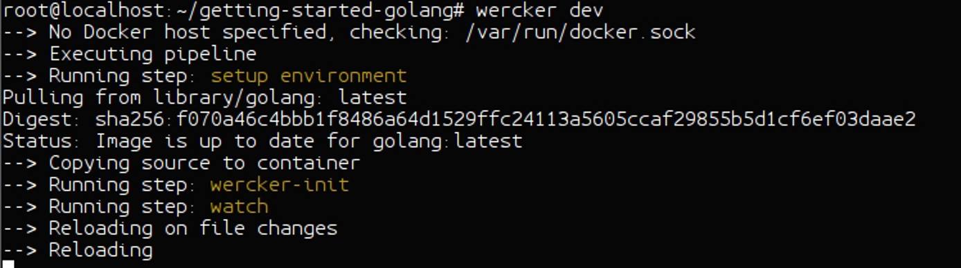 Wercker Dev Wercker Dev