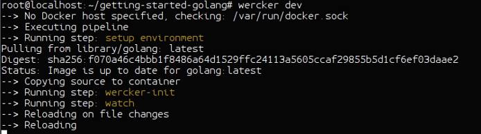 Wercker Dev Wercker Dev