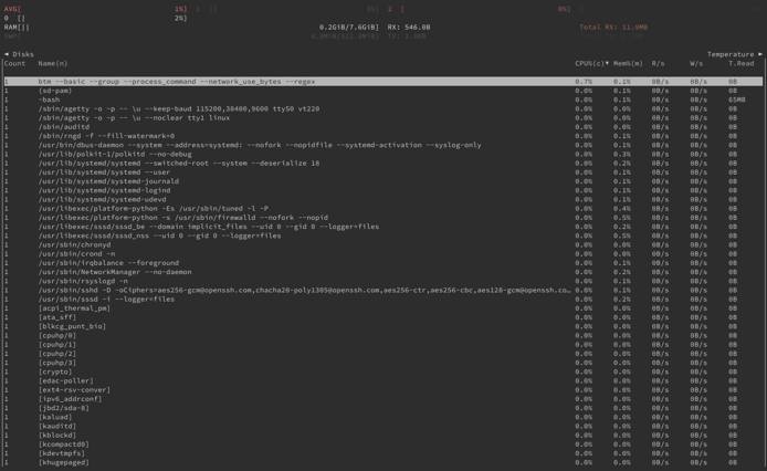 bottom in basic display mode, with processes grouped and displaying full commands and network usage in bytes bottom in basic display mode, with processes grouped and displaying full commands and network usage in bytes