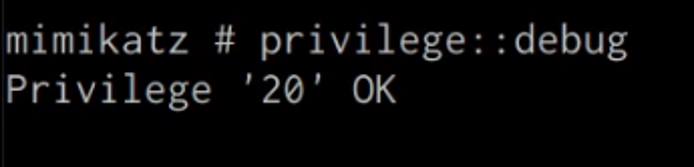 Mimikatz privilege::debug output Mimikatz privilege::debug output